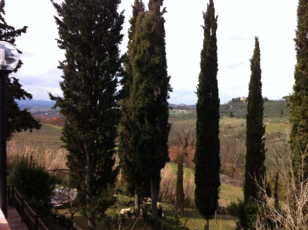 the view | Abroad101 Blog