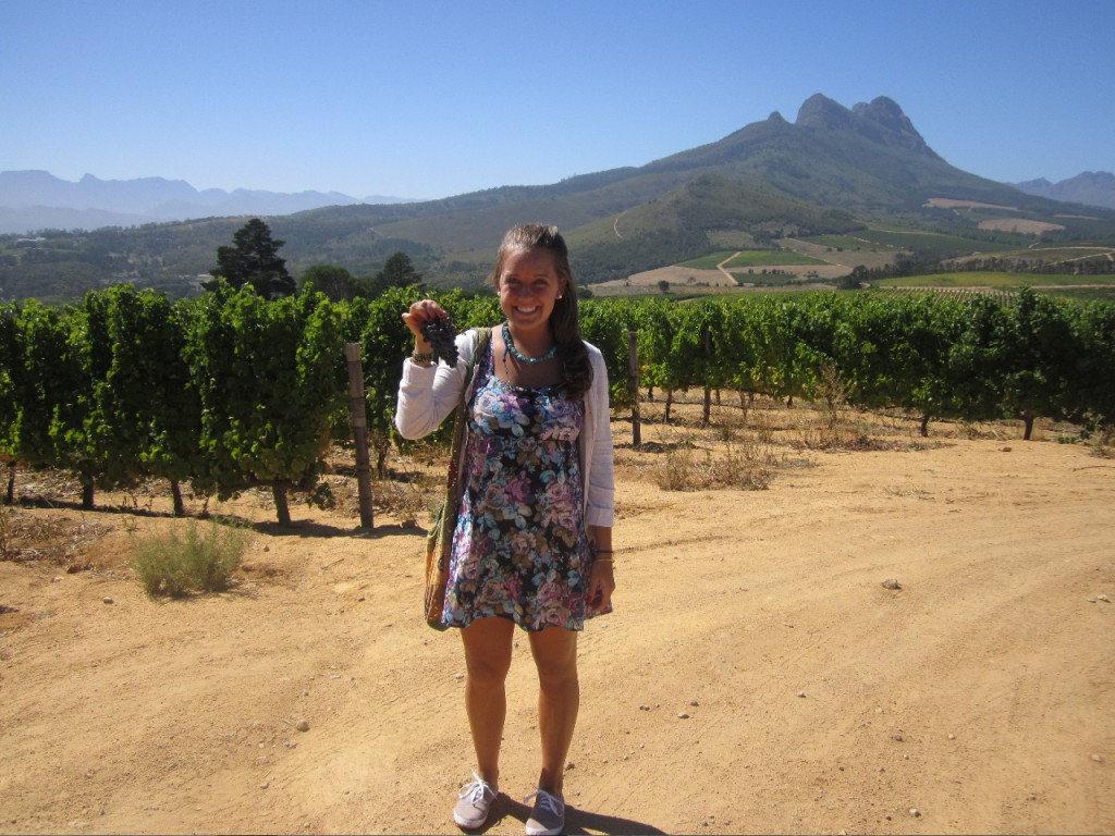 Grapes from the Vineyard | Abroad101 Blog