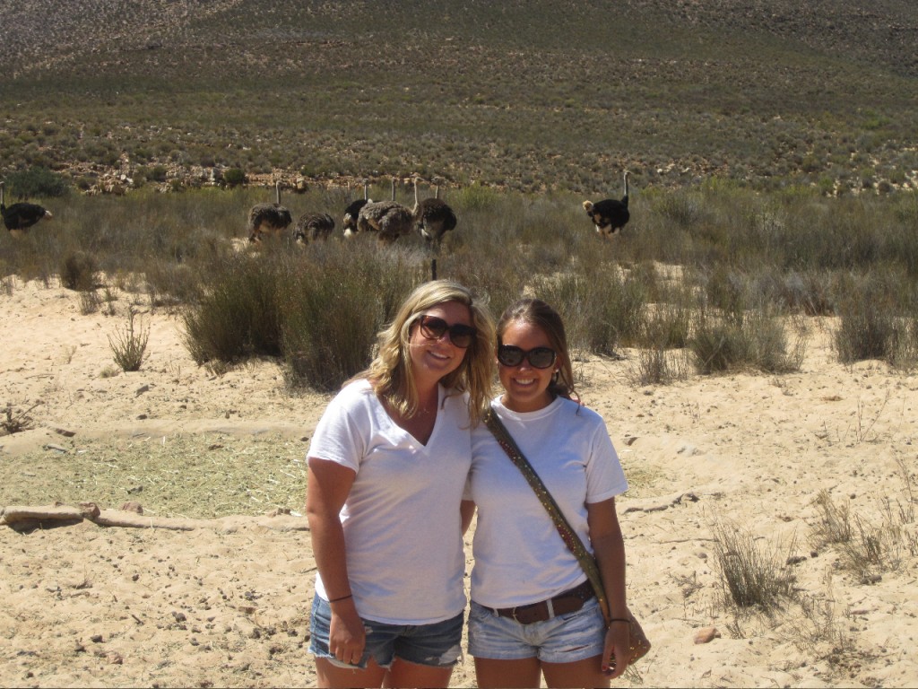 Safari Time | Abroad101 Blog