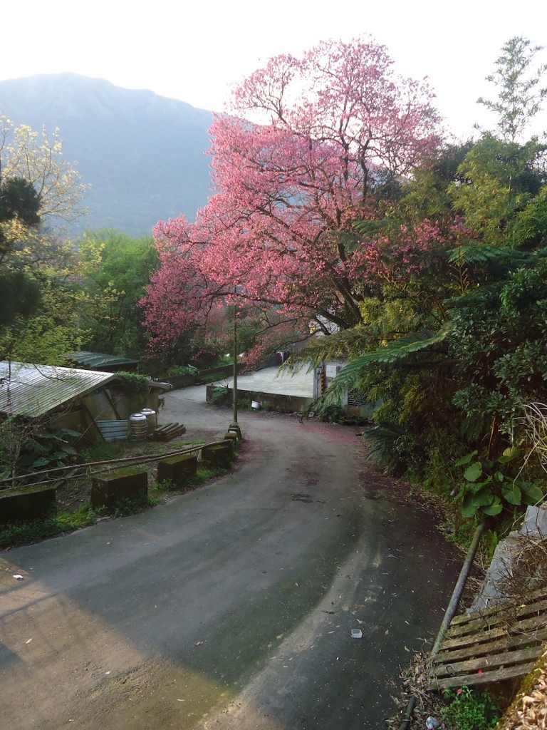 Hiking_Taipei | Abroad101 Blog