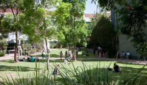 GU grass | Abroad101 Blog