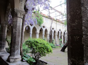 Inside the Public Gardens | Abroad101 Blog