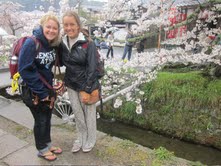 japancherryblossom | Abroad101 Blog