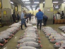 japanfishmarket | Abroad101 Blog