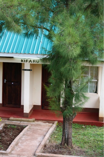 Kifaru (Rhino)...My home for the next month! | Abroad101 Blog