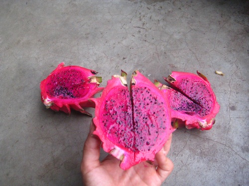 Dragon Fruit | Abroad101 Blog dragon fruit