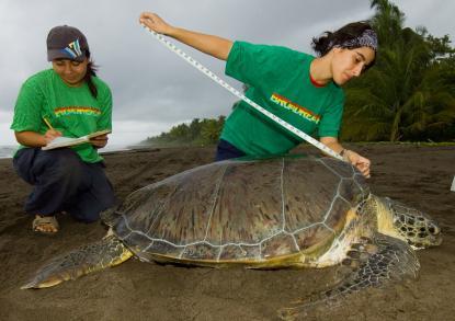 nicaragua-broadreach | Abroad101 Blog