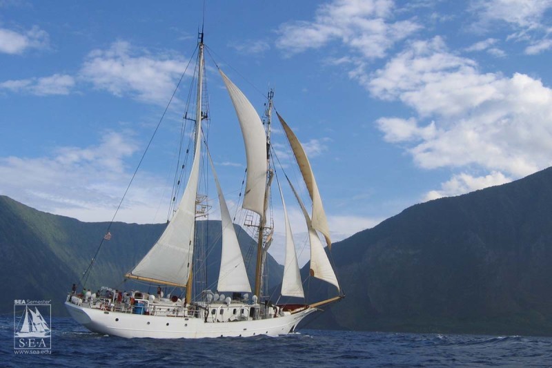 sea-semester-ocean-exploration | Abroad101 Blog sea-semester-ocean-exploration