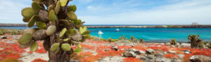 AIFS - Galapagos Islands | Abroad101 Blog