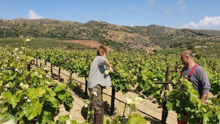 Cerca Abroad - Agricultural internship | Abroad101 Blog