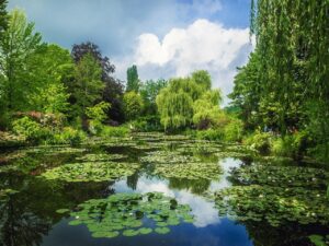 c | Abroad101 Blog Scenic view of Monet's water lily pond in Giverny, surrounded by lush greenery, with water lilies floating on the calm surface under a partly cloudy sky.